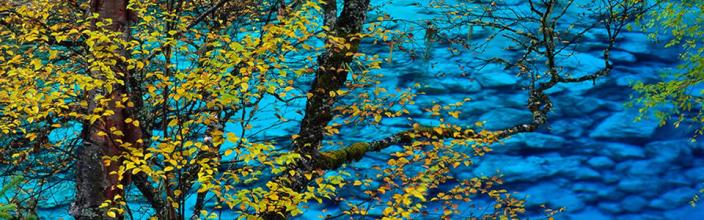 ����¿���ͨ����˽��