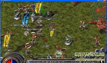 ���¿�������̬����