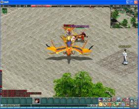 ��Ѫ�������������