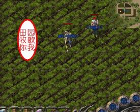 �þ���ʧ����